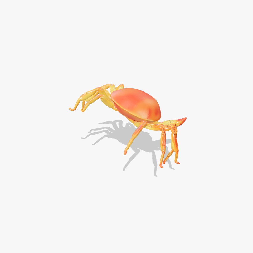 Japanese Spider Crab Realistic Model Pack